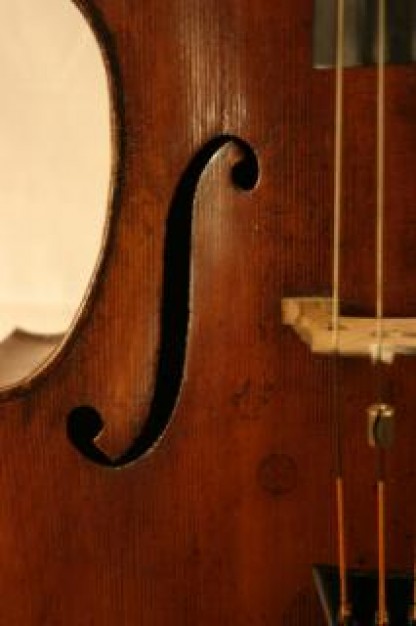 cello closeup 19