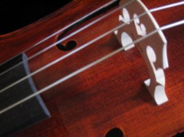 cello detail 3 2