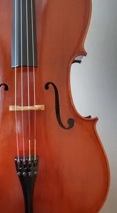 cello